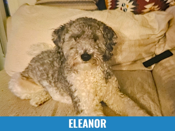 Eleanor