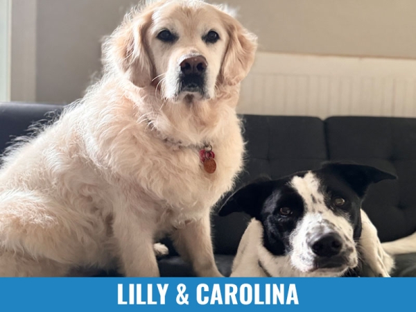 Lilly &amp; Carolina