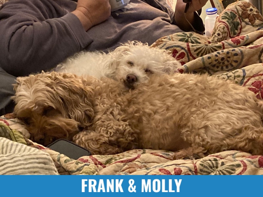 Frank &amp; Molly