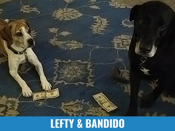 Lefty &amp; Bandido