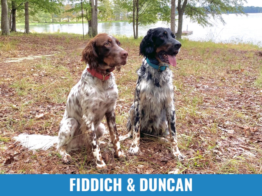 Fiddich &amp; Duncan