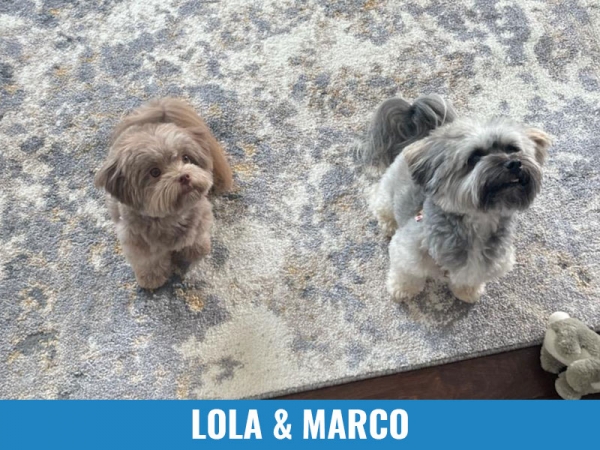 Lola &amp; Marco