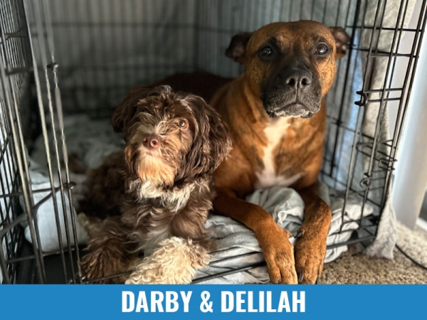 Darby &amp; Delilah