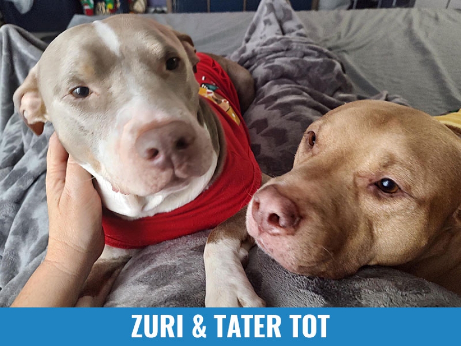 Zuri and Tater Tot