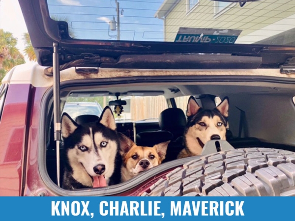 Knox, Charlie, Maverick