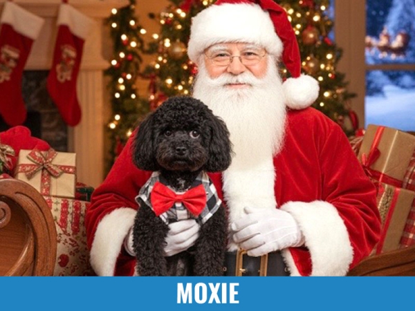 Moxie