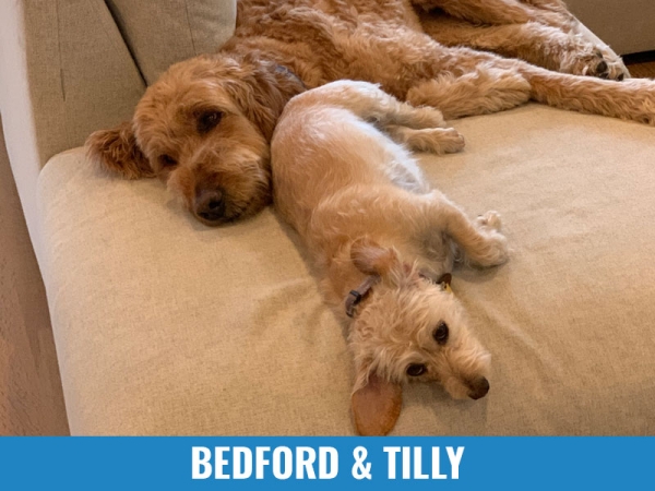 Bedford &amp; Tilly
