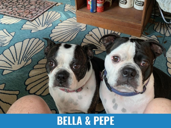 Bella &amp; Pepe